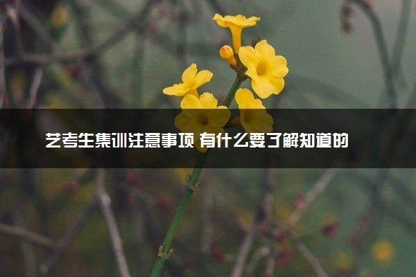 艺考生集训注意事项 有什么要了解知道的