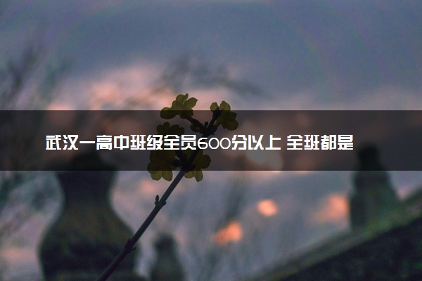 武汉一高中班级全员600分以上 全班都是学霸