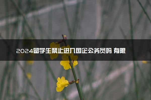 2024留学生禁止进入国企公务员吗 有限制吗