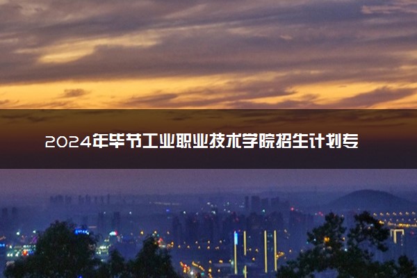 2024年毕节工业职业技术学院招生计划专业及各省录取分数线位次