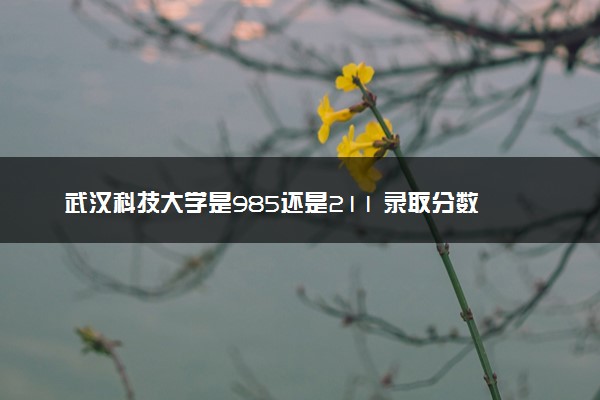 武汉科技大学是985还是211 录取分数线是多少