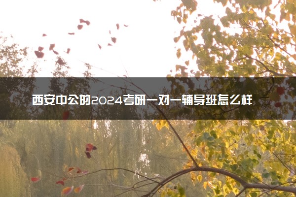 西安中公的2024考研一对一辅导班怎么样