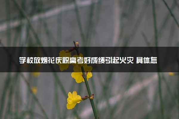 学校放烟花庆祝高考好成绩引起火灾 具体怎么回事