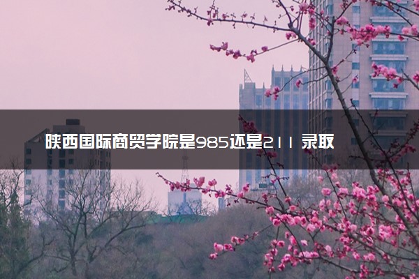 陕西国际商贸学院是985还是211 录取分数线是多少
