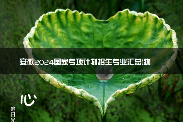 安徽2024国家专项计划招生专业汇总(物理类) 能报什么专业