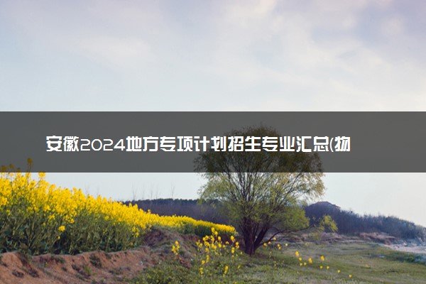 安徽2024地方专项计划招生专业汇总(物理类) 能报什么专业