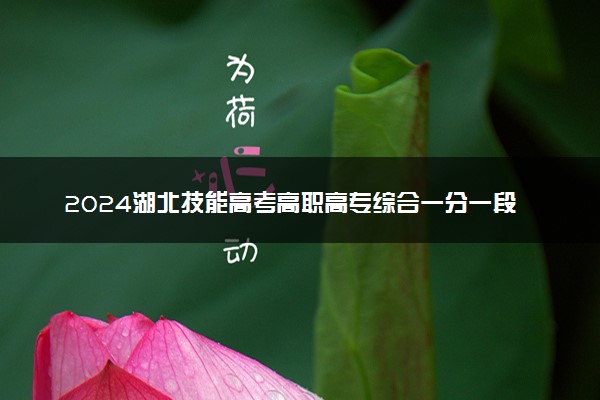 2024湖北技能高考高职高专综合一分一段表公布 最新成绩排名