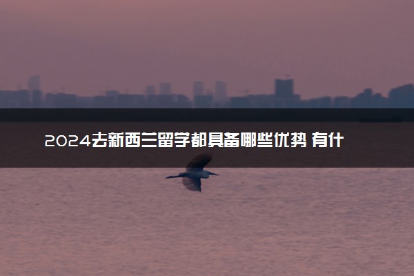 2024去新西兰留学都具备哪些优势 有什么弊端