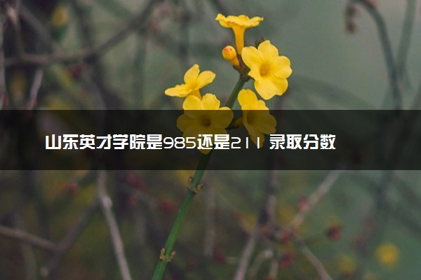 山东英才学院是985还是211 录取分数线是多少