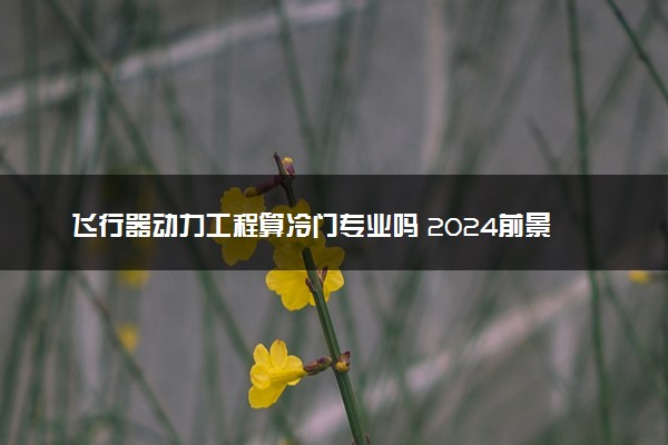 飞行器动力工程算冷门专业吗 2024前景怎么样