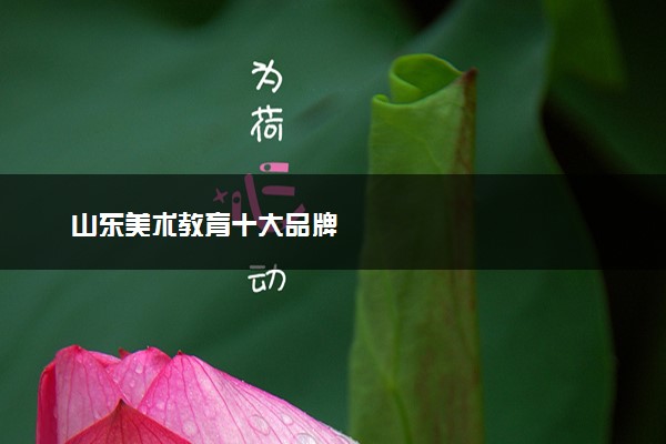 山东美术教育十大品牌