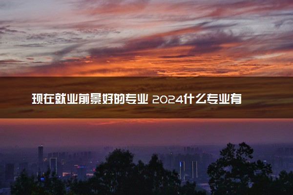 现在就业前景好的专业 2024什么专业有潜力且高薪