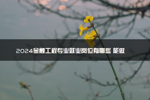 2024金融工程专业就业岗位有哪些 能做什么工作