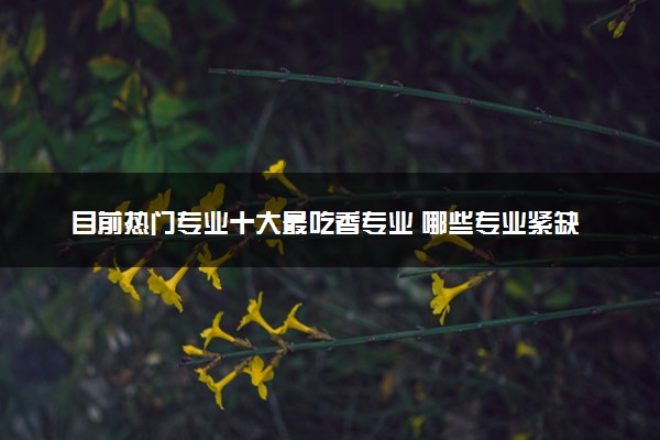 目前热门专业十大最吃香专业 哪些专业紧缺