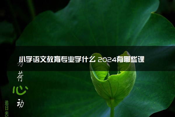 小学语文教育专业学什么 2024有哪些课程
