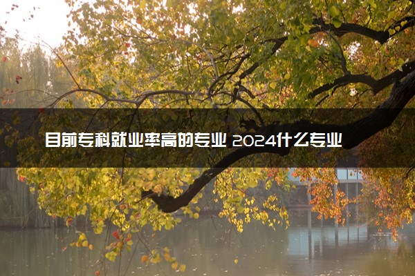 目前专科就业率高的专业 2024什么专业前景好