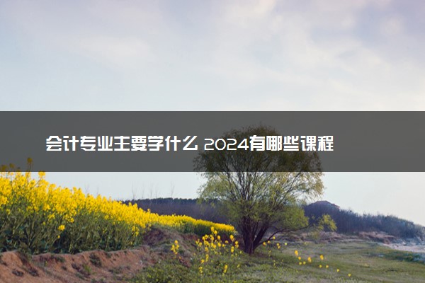 会计专业主要学什么 2024有哪些课程