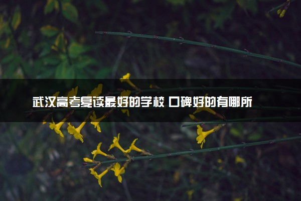 武汉高考复读最好的学校 口碑好的有哪所