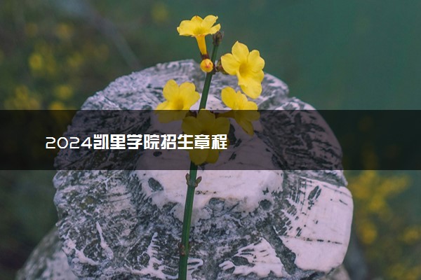 2024凯里学院招生章程