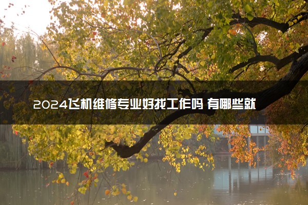 2024飞机维修专业好找工作吗 有哪些就业方向