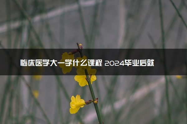 临床医学大一学什么课程 2024毕业后就业前景怎么样