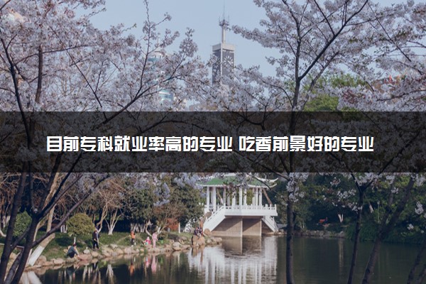 目前专科就业率高的专业 吃香前景好的专业有哪些