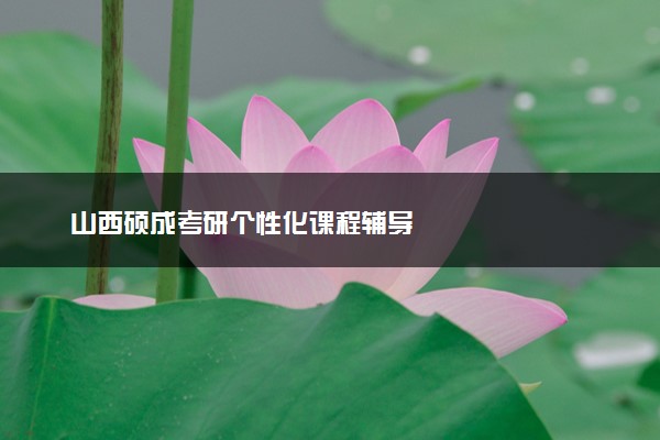 山西硕成考研个性化课程辅导