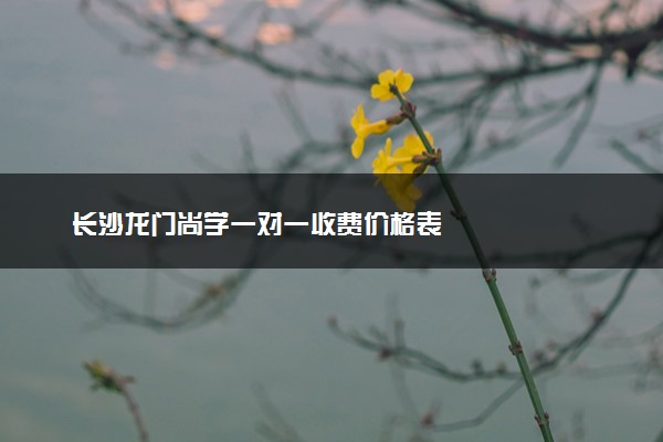长沙龙门尚学一对一收费价格表