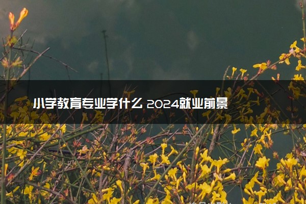 小学教育专业学什么 2024就业前景