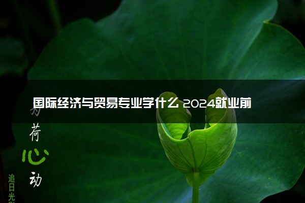 国际经济与贸易专业学什么 2024就业前景怎么样