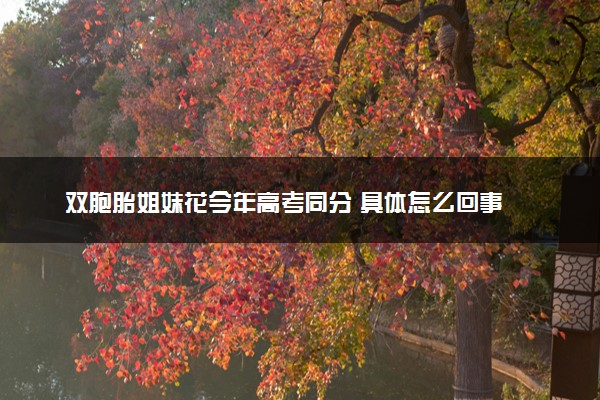 双胞胎姐妹花今年高考同分 具体怎么回事