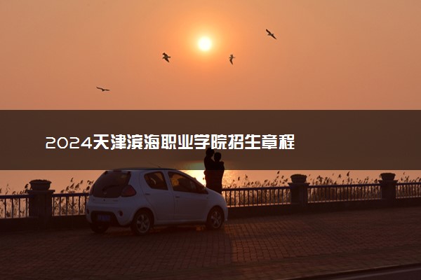 2024天津滨海职业学院招生章程