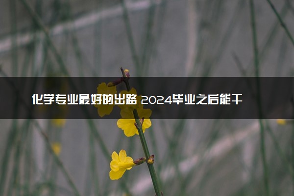 化学专业最好的出路 2024毕业之后能干什么