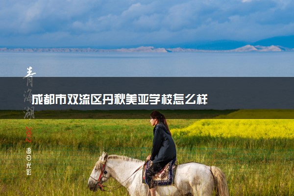 成都市双流区丹秋美亚学校怎么样