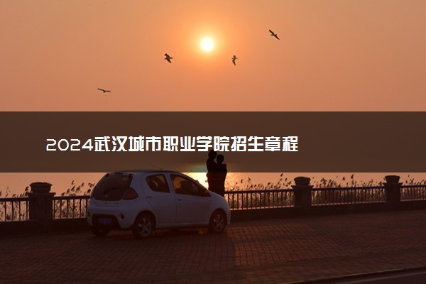 2024武汉城市职业学院招生章程