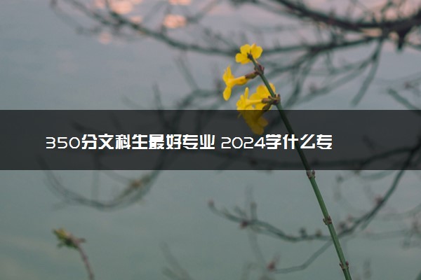 350分文科生最好专业 2024学什么专业最吃香