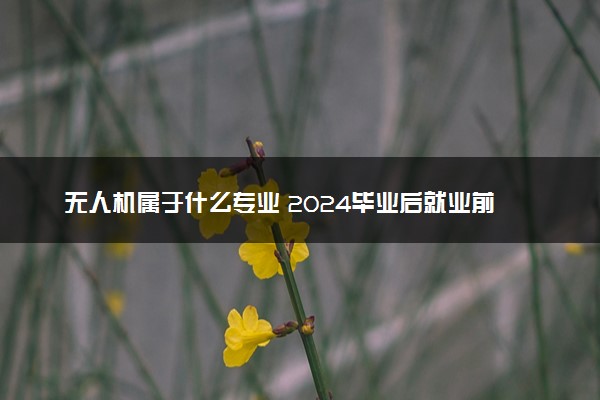 无人机属于什么专业 2024毕业后就业前景怎么样