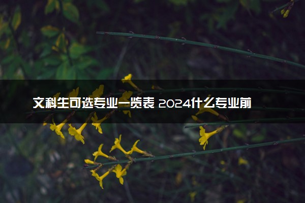 文科生可选专业一览表 2024什么专业前景好