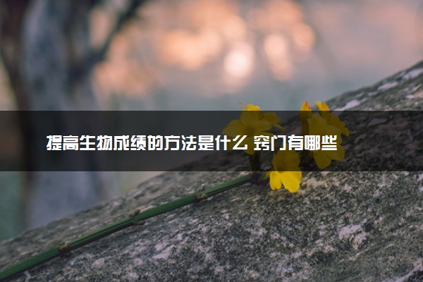 提高生物成绩的方法是什么 窍门有哪些