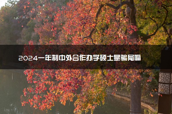 2024一年制中外合作办学硕士是骗局嘛 是坑吗