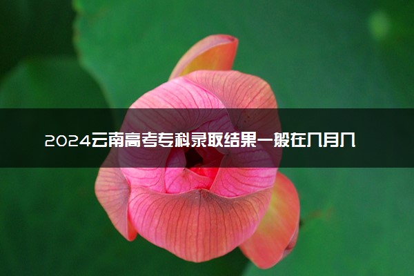 2024云南高考专科录取结果一般在几月几号出 什么时间录取