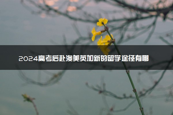 2024高考后赴澳美英加新的留学途径有哪些要求