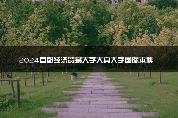 2024首都经济贸易大学大真大学国际本科专业有哪些
