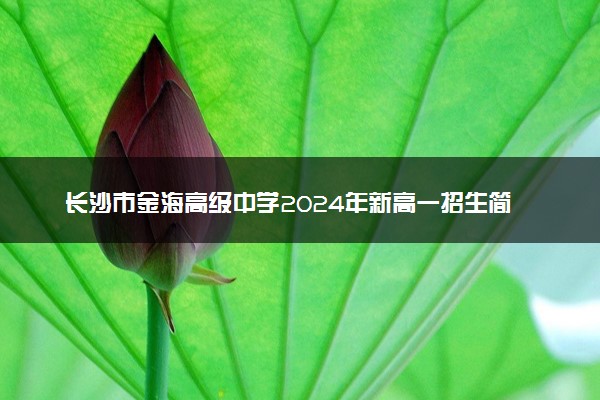 长沙市金海高级中学2024年新高一招生简章