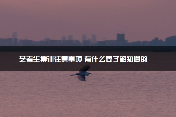 艺考生集训注意事项 有什么要了解知道的