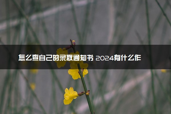 怎么查自己的录取通知书 2024有什么作用