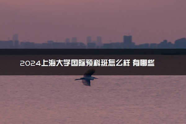 2024上海大学国际预科班怎么样 有哪些专业可以报