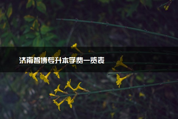 济南智博专升本学费一览表