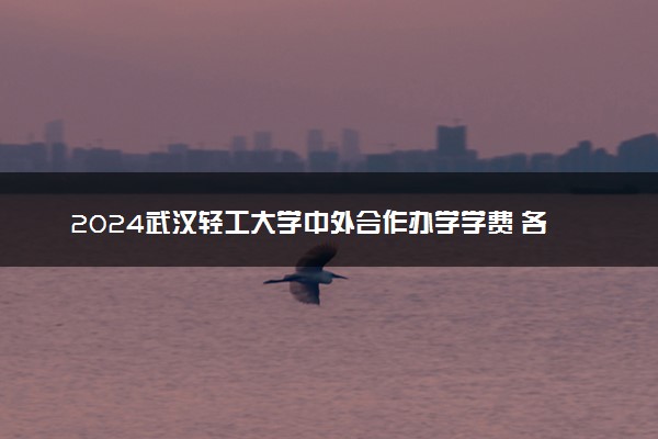 2024武汉轻工大学中外合作办学学费 各专业最新收费标准