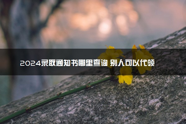 2024录取通知书哪里查询 别人可以代领吗